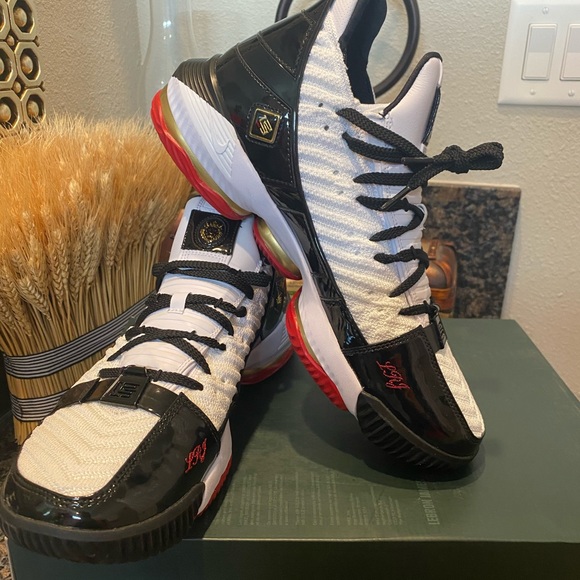 Nike Lebron xvi sb black n white shoes